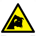 w034-warning-bull~